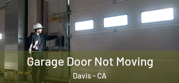  Garage Door Not Moving Davis - CA