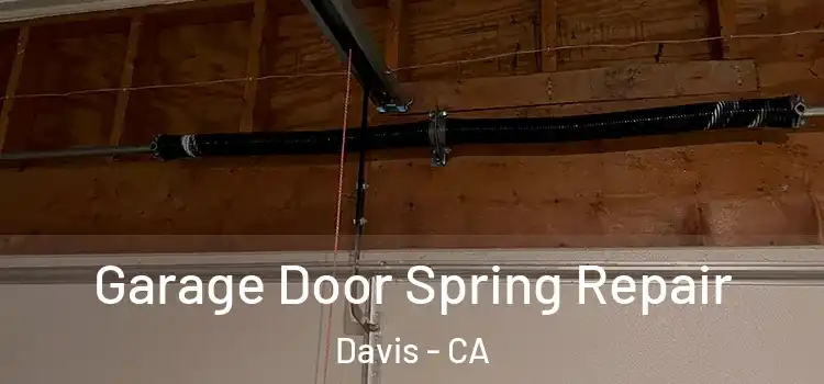  Garage Door Spring Repair Davis - CA