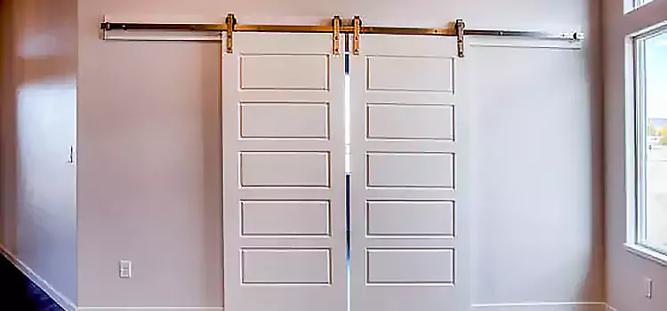 Glass Barn Door with Installation Hardware Kit Davis