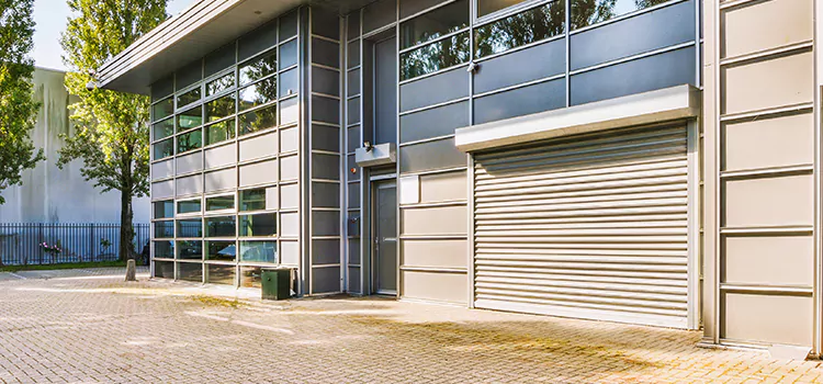 Electric Roller Garage Doors Davis