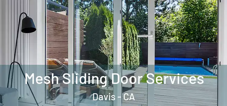Mesh Sliding Door Services Davis - CA